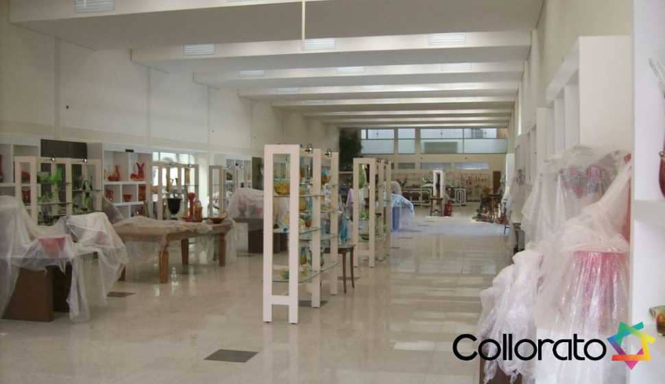 collorato_portfolio_ (2)