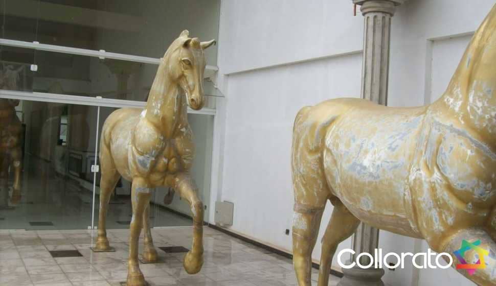 collorato_portfolio_ (4)