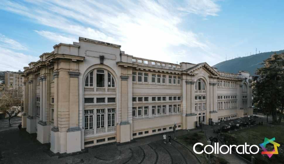 collorato_portfolio_ (5)